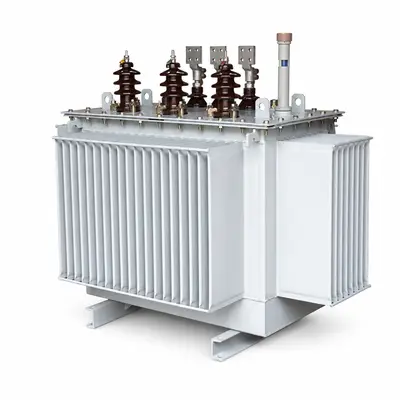800kVA & 1000kVA 20kV/400V Three-Phase Oil-Immersed Transformer (No-Load Tap Changer)
